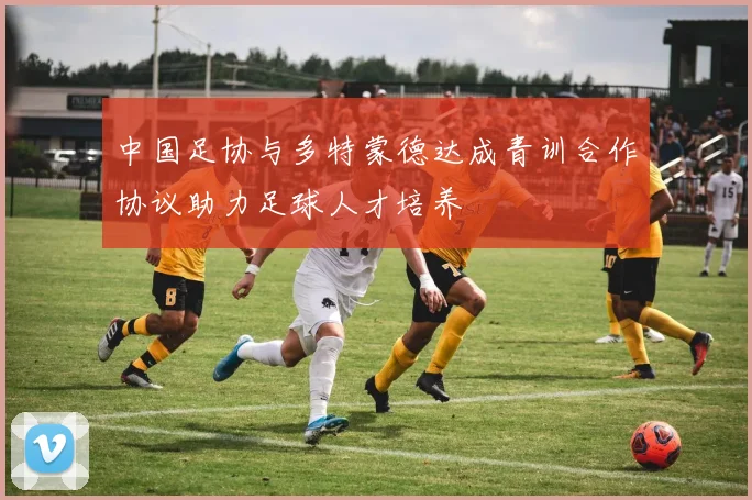 中国足协与多特蒙德达成青训合作协议助力足球人才培养